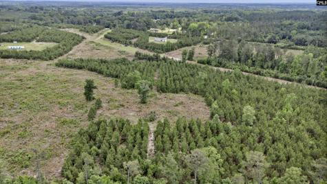 Na Bull Swamp North SC 29112