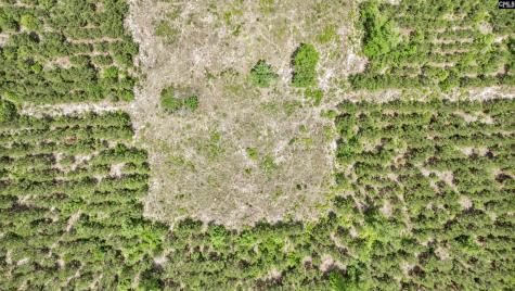 Na Bull Swamp North SC 29112