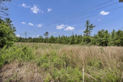 Na Bull Swamp North SC 29112