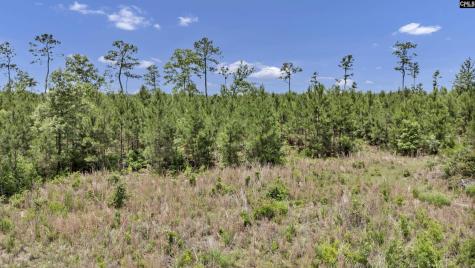 Na Bull Swamp North SC 29112