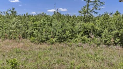 Na Bull Swamp North SC 29112