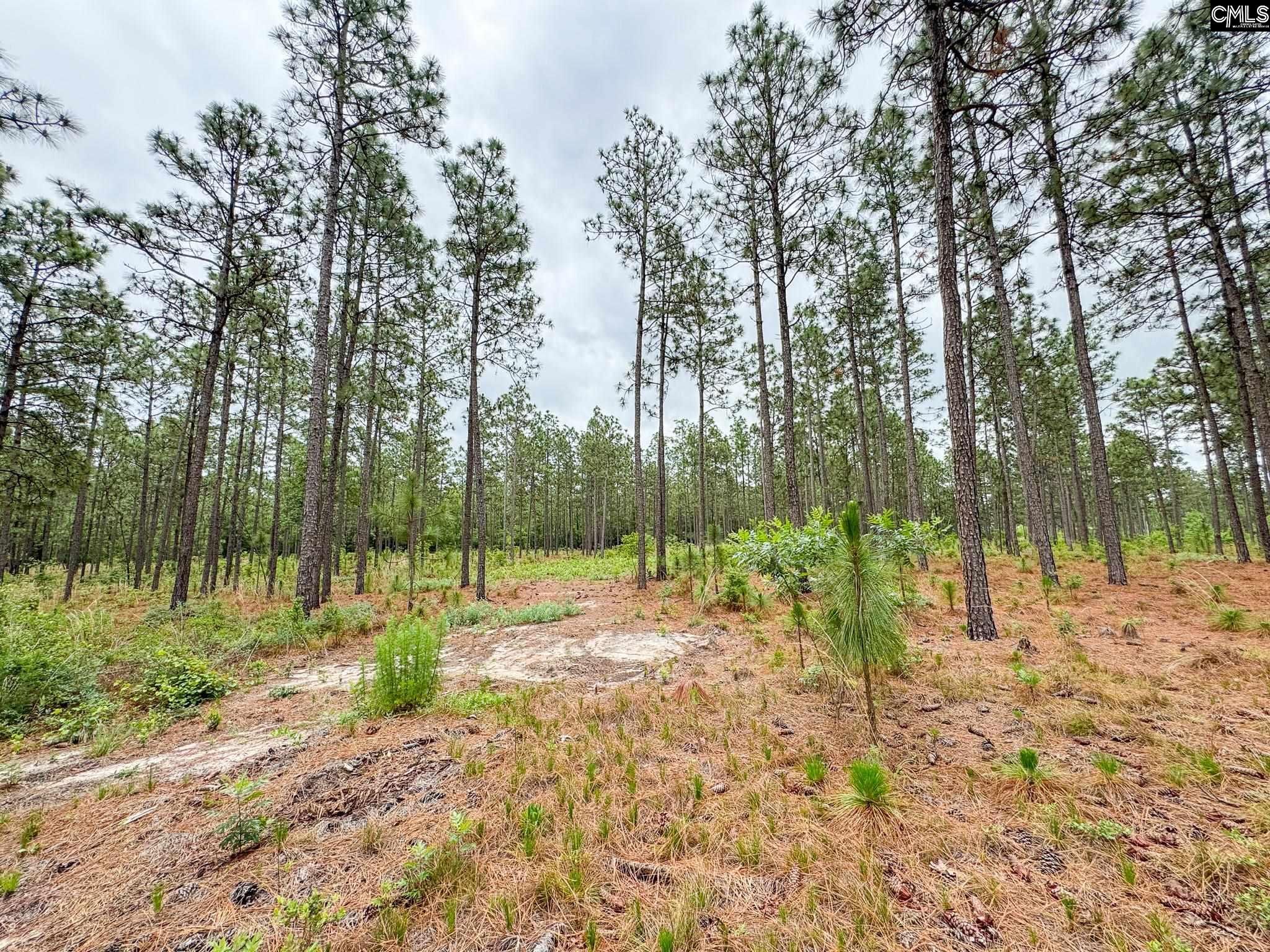 0 Neely Wingard Road Lot 3 Gilbert SC 29054