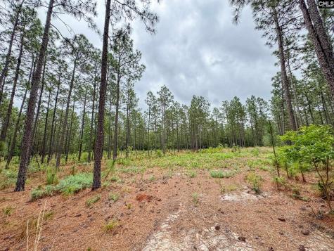 0 Neely Wingard Road Lot 3 Gilbert SC 29054