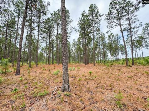 0 Neely Wingard Road Lot 3 Gilbert SC 29054
