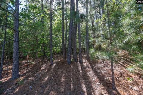 104 Harbor Drive Columbia SC 29223