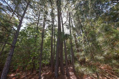 104 Harbor Drive Columbia SC 29223