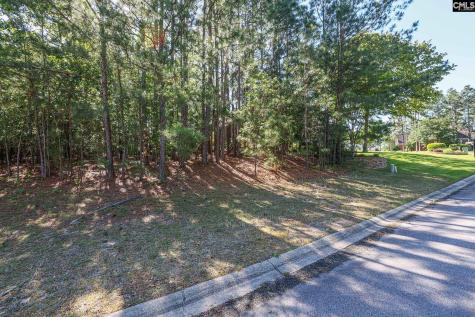 104 Harbor Drive Columbia SC 29223