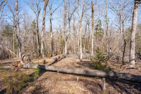 1142 Osheal Road Irmo SC 29063