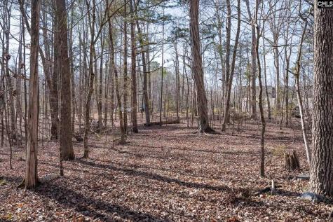 1142 Osheal Road Irmo SC 29063