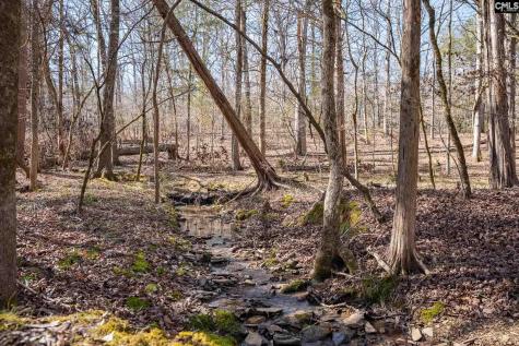 1142 Osheal Road Irmo SC 29063