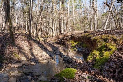 1142 Osheal Road Irmo SC 29063