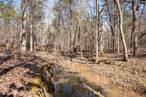 1142 Osheal Road Irmo SC 29063