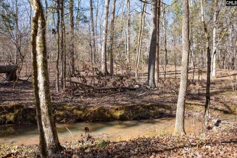 1142 Osheal Road Irmo SC 29063