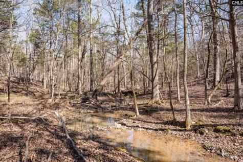 1142 Osheal Road Irmo SC 29063