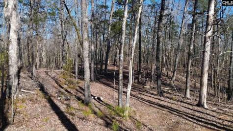 1142 Osheal Road Irmo SC 29063