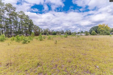 5119 Backman Avenue Lexington SC 29073