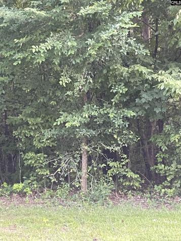 11 Otter Trail Court Columbia SC 29203