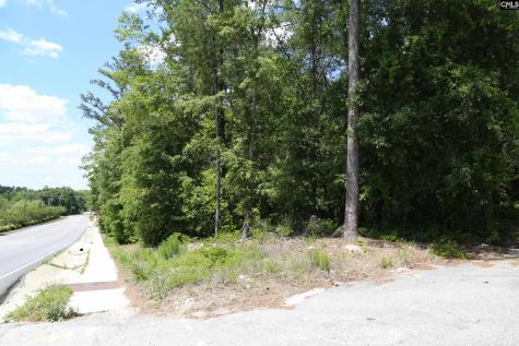 2944 Alpine Road Columbia SC 29223