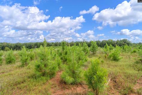 0000 Hwy 215 2 Jenkinsville SC 29065