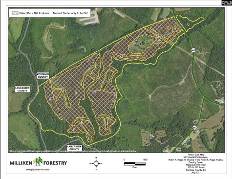 703 Neds Creek Road Kershaw SC 29067