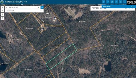 0 Indian Trail Swansea SC 29160