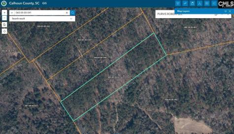 0 Indian Trail Swansea SC 29160