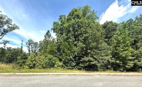 1012 Lyndon Drive Lancaster SC 29720-6593