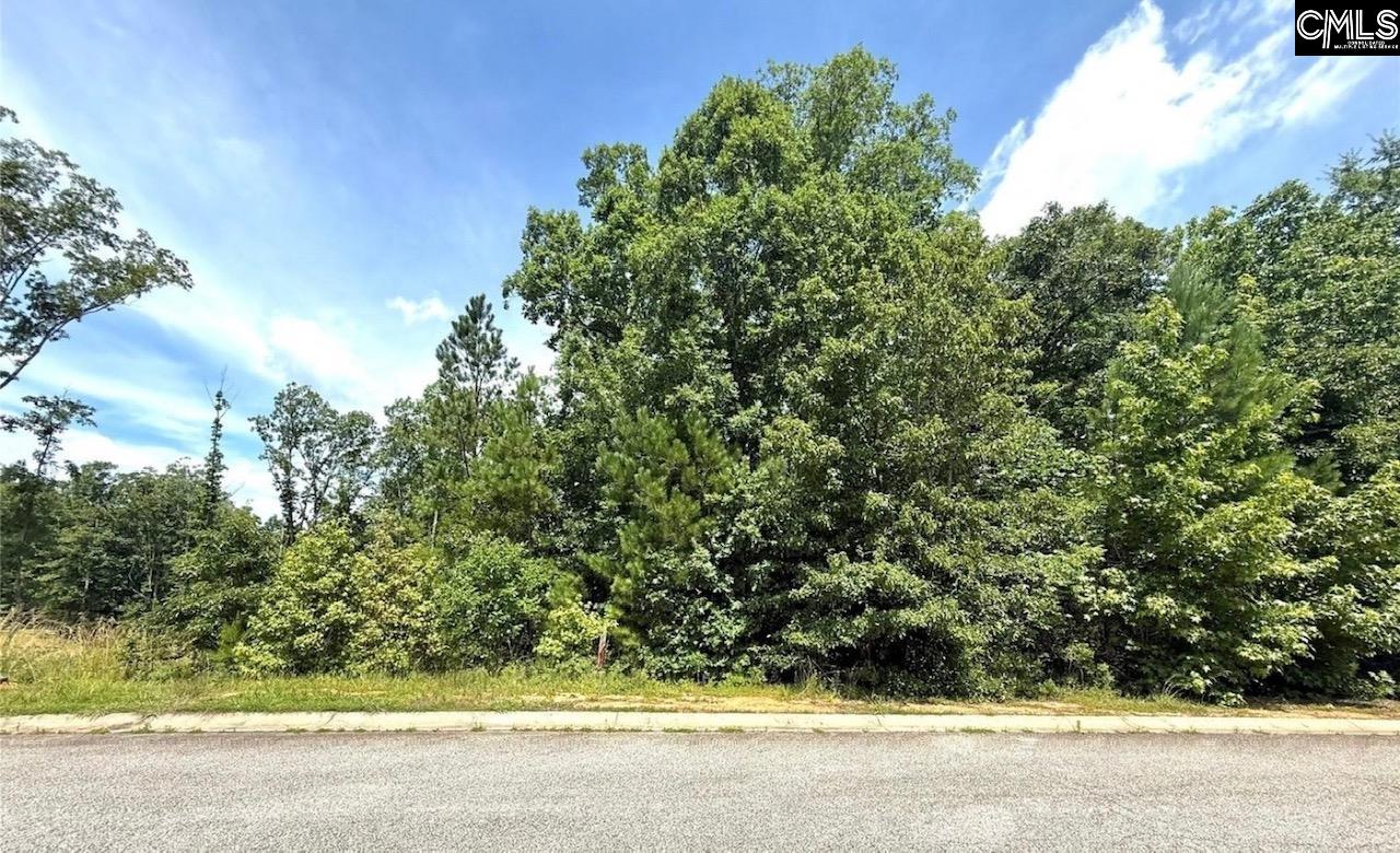 1012 Lyndon Drive Lancaster SC 29720-6593