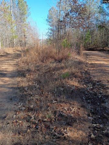 1164 Calvins Road Camden SC 29020