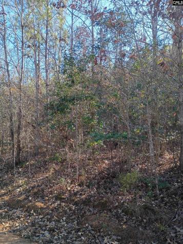 1164 Calvins Road Camden SC 29020