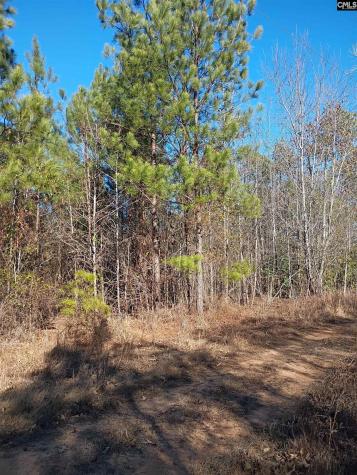 1164 Calvins Road Camden SC 29020