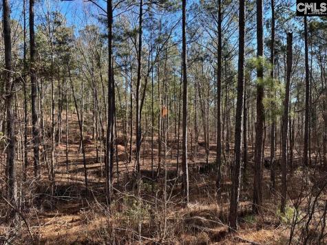 River Road Winnsboro SC 29180