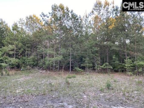 1155 Jones Wire Road Swansea SC 29160