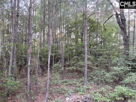 1155 Jones Wire Road Swansea SC 29160