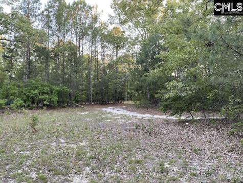 1155 Jones Wire Road Swansea SC 29160