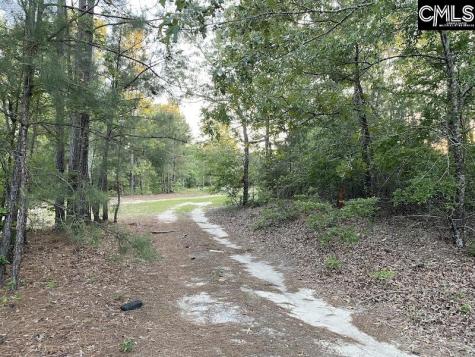 1155 Jones Wire Road Swansea SC 29160