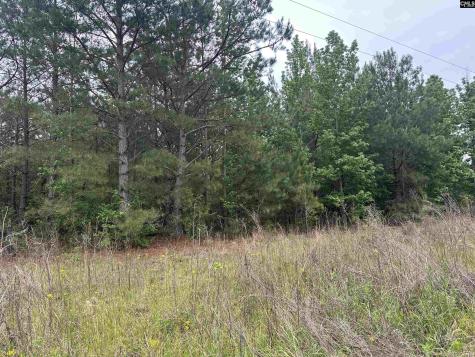 Tract 4 Patrick Highway Hartsville SC 29550