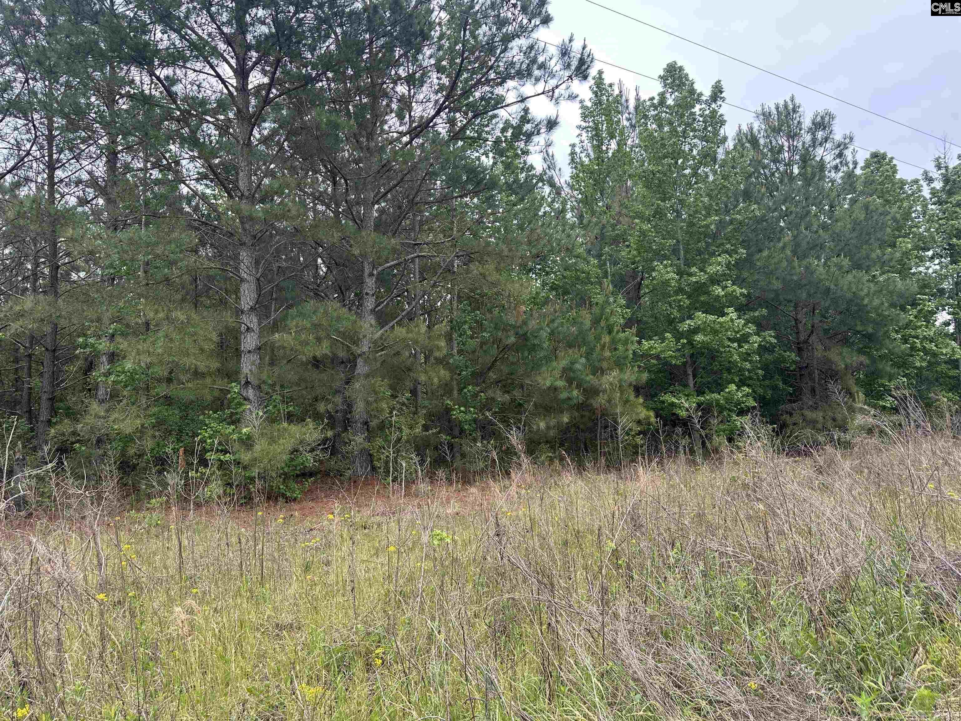 Tract 4 Patrick Highway Hartsville SC 29550