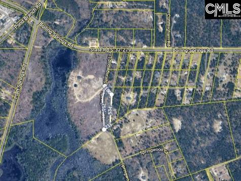 576 A Boiling Springs Road Lexington SC 29073