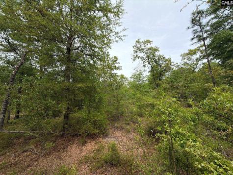Rrf 1 Rogers Cemetery Road Salley SC 29137