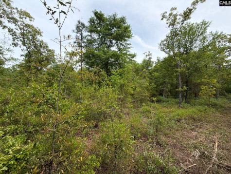 Rrf 1 Rogers Cemetery Road Salley SC 29137