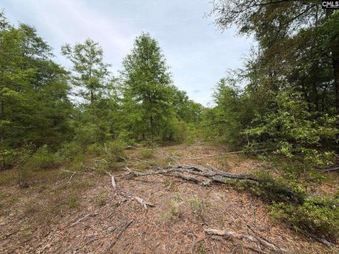 Rrf 1 Rogers Cemetery Road Salley SC 29137