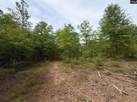 Rrf 1 Rogers Cemetery Road Salley SC 29137