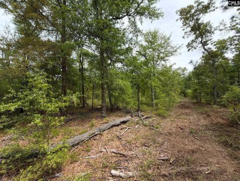 Rrf 1 Rogers Cemetery Road Salley SC 29137