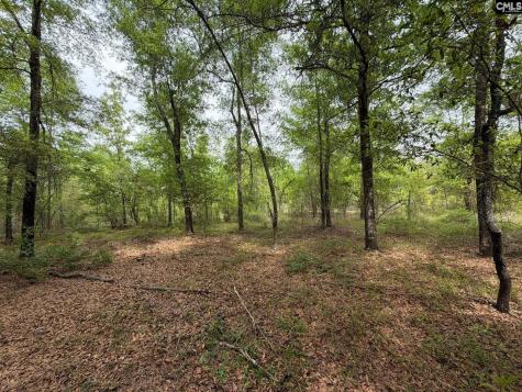 Rrf 1 Rogers Cemetery Road Salley SC 29137