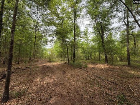 Rrf 1 Rogers Cemetery Road Salley SC 29137