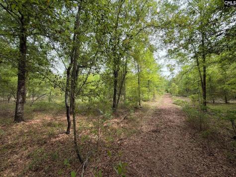 Rrf 1 Rogers Cemetery Road Salley SC 29137