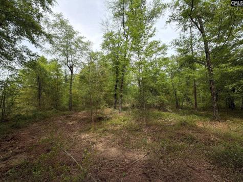 Rrf 1 Rogers Cemetery Road Salley SC 29137
