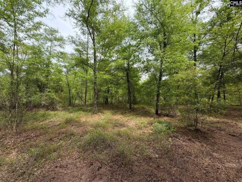 Rrf 1 Rogers Cemetery Road Salley SC 29137