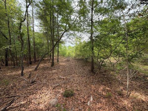 Rrf 1 Rogers Cemetery Road Salley SC 29137